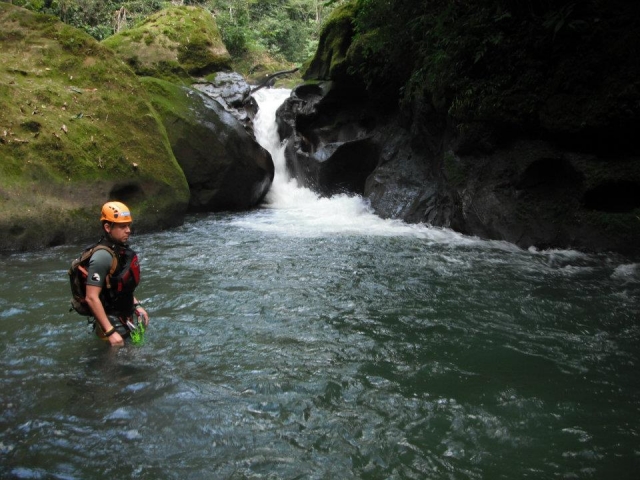 Escenarios de Jungla Experience